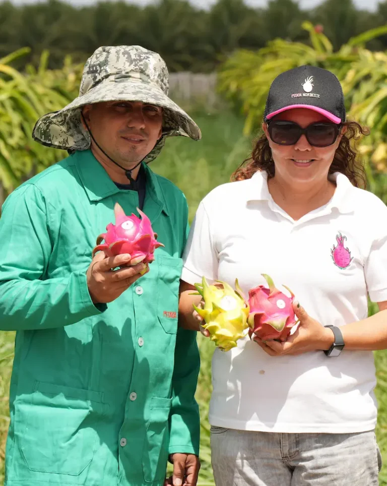 pitaya-nordeste-anner-email
